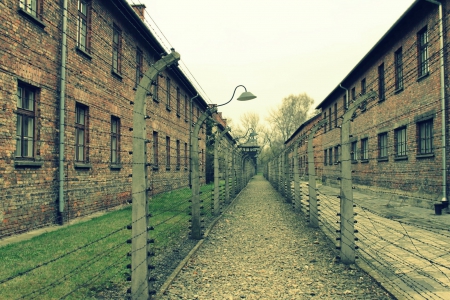 Wirtualna wizyta w obozie Auschwitz-Birkenau